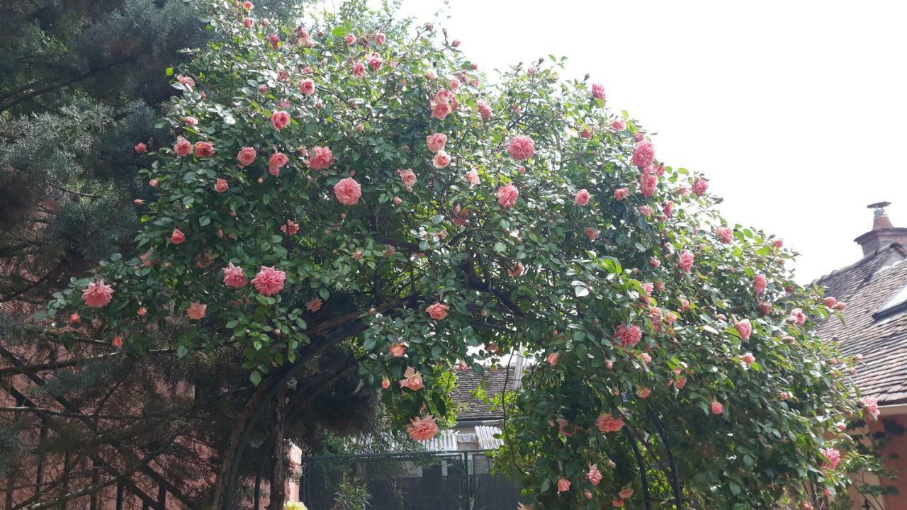 Готель La Maison Rose: Lieu Atypique Немур Екстер'єр фото
